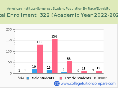 American Institute-Somerset 2023 Student Population by Gender and Race chart