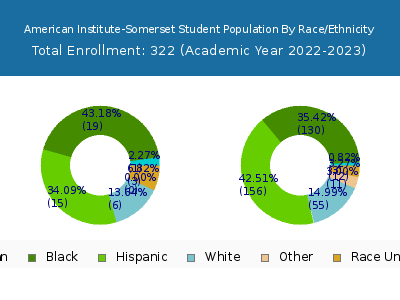 American Institute-Somerset 2023 Student Population by Gender and Race chart