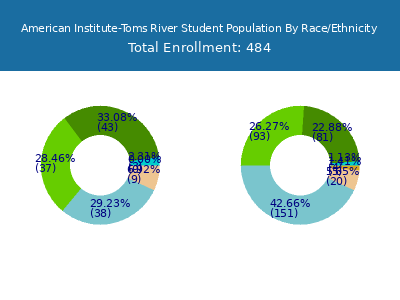 American Institute-Toms River 2025 Student Population by Gender and Race chart