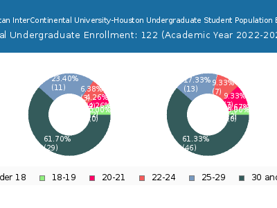 American InterContinental University-Houston 2023 Undergraduate Enrollment Age Diversity Pie chart