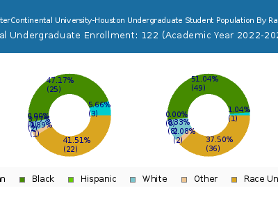 American InterContinental University-Houston 2023 Undergraduate Enrollment by Gender and Race chart