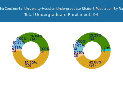 American InterContinental University-Houston 2025 Undergraduate Enrollment by Gender and Race chart