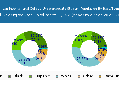 American International College 2023 Undergraduate Enrollment by Gender and Race chart