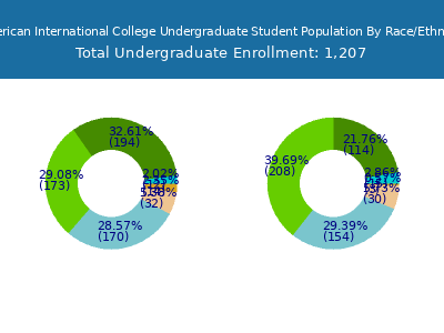 American International College 2025 Undergraduate Enrollment by Gender and Race chart