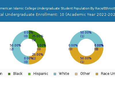American Islamic College 2023 Undergraduate Enrollment by Gender and Race chart