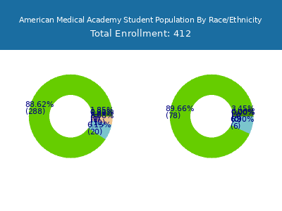 American Medical Academy 2025 Student Population by Gender and Race chart
