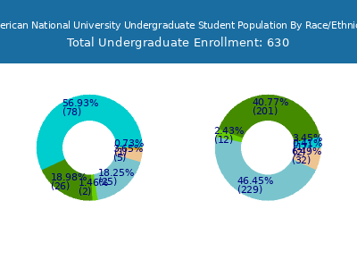 American National University 2025 Undergraduate Enrollment by Gender and Race chart