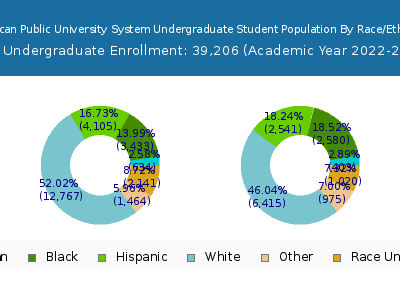 American Public University System 2023 Undergraduate Enrollment by Gender and Race chart