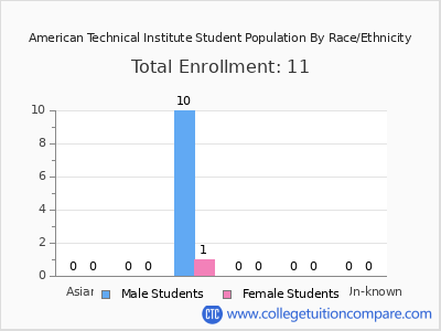 American Technical Institute 2025 Student Population by Gender and Race chart