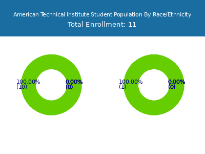 American Technical Institute 2025 Student Population by Gender and Race chart