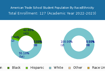 American Trade School 2023 Student Population by Gender and Race chart