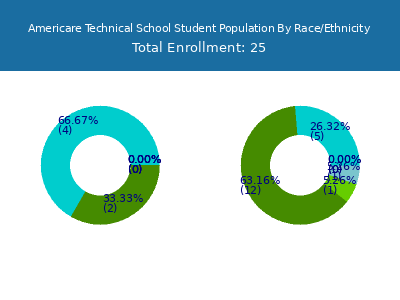 Americare Technical School 2025 Student Population by Gender and Race chart