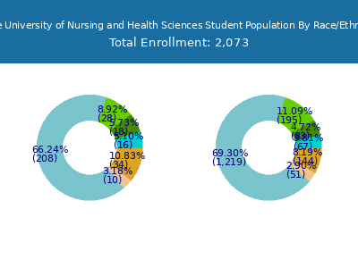 Joyce University of Nursing and Health Sciences 2025 Student Population by Gender and Race chart