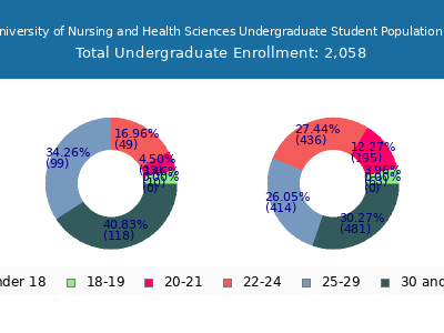 Joyce University of Nursing and Health Sciences 2024 Undergraduate Enrollment Age Diversity Pie chart