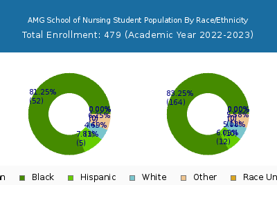 AMG School of Nursing 2023 Student Population by Gender and Race chart