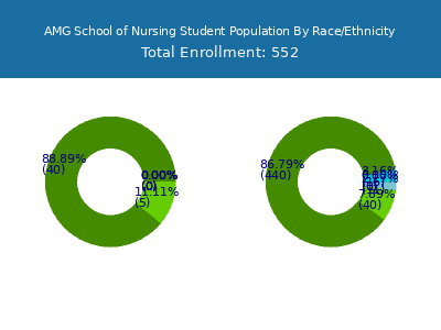 AMG School of Nursing 2025 Student Population by Gender and Race chart