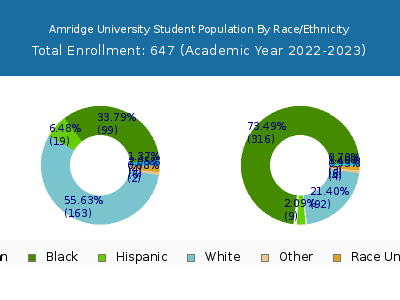 Amridge University 2023 Student Population by Gender and Race chart