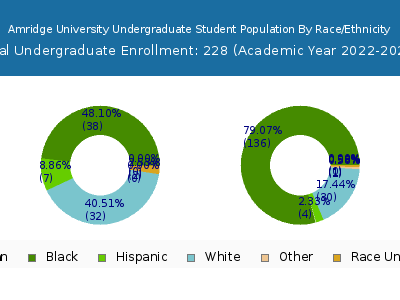 Amridge University 2023 Undergraduate Enrollment by Gender and Race chart