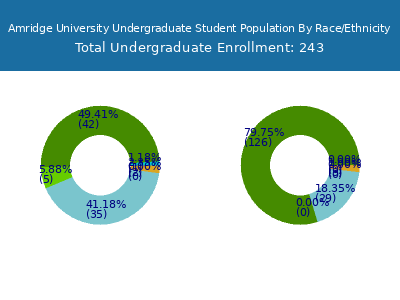 Amridge University 2025 Undergraduate Enrollment by Gender and Race chart