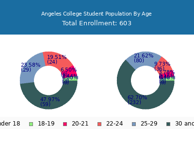 Angeles College 2024 Student Population Age Diversity Pie chart