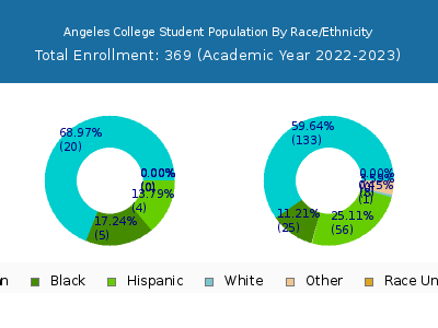 Angeles College 2023 Student Population by Gender and Race chart