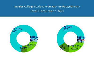 Angeles College 2025 Student Population by Gender and Race chart