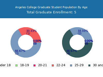 Angeles College 2024 Graduate Enrollment Age Diversity Pie chart