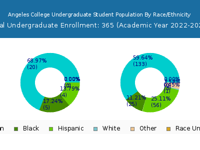 Angeles College 2023 Undergraduate Enrollment by Gender and Race chart