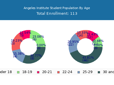 Angeles Institute 2024 Student Population Age Diversity Pie chart