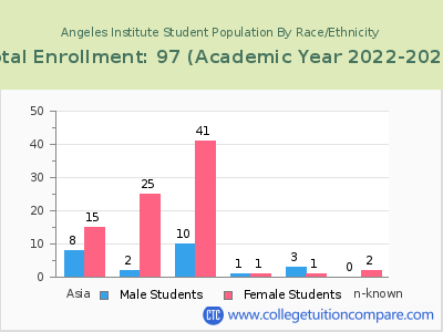 Angeles Institute 2023 Student Population by Gender and Race chart