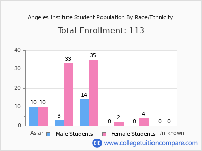 Angeles Institute 2025 Student Population by Gender and Race chart