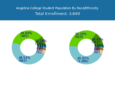 Angelina College 2025 Student Population by Gender and Race chart