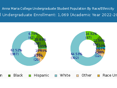 Anna Maria College 2023 Undergraduate Enrollment by Gender and Race chart