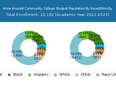 Anne Arundel Community College 2023 Student Population by Gender and Race chart