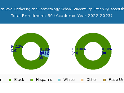 Another Level Barbering and Cosmetology School 2023 Student Population by Gender and Race chart