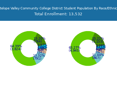 Antelope Valley Community College District 2025 Student Population by Gender and Race chart