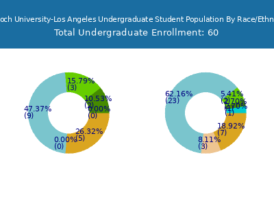 Antioch University-Los Angeles 2025 Undergraduate Enrollment by Gender and Race chart