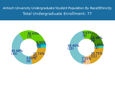Antioch University 2025 Undergraduate Enrollment by Gender and Race chart