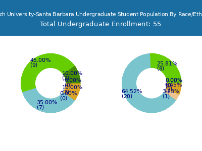 Antioch University-Santa Barbara 2025 Undergraduate Enrollment by Gender and Race chart