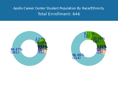 Apollo Career Center 2025 Student Population by Gender and Race chart
