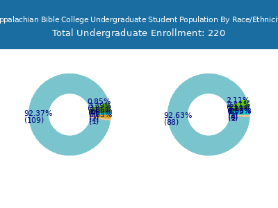 Appalachian Bible College 2025 Undergraduate Enrollment by Gender and Race chart