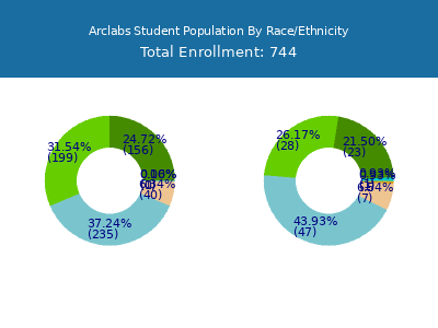 Arclabs 2025 Student Population by Gender and Race chart