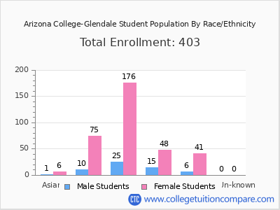 Arizona College-Glendale 2025 Student Population by Gender and Race chart
