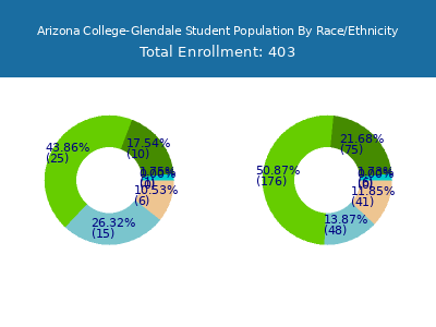 Arizona College-Glendale 2025 Student Population by Gender and Race chart