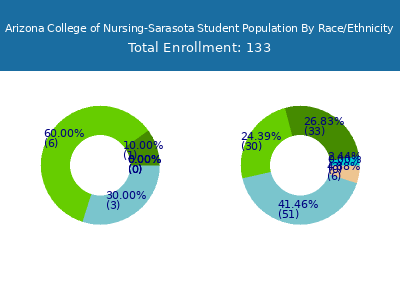 Arizona College of Nursing-Sarasota 2025 Student Population by Gender and Race chart