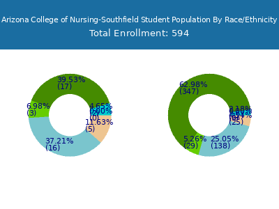 Arizona College of Nursing-Southfield 2025 Student Population by Gender and Race chart