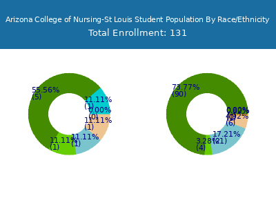Arizona College of Nursing-St Louis 2025 Student Population by Gender and Race chart