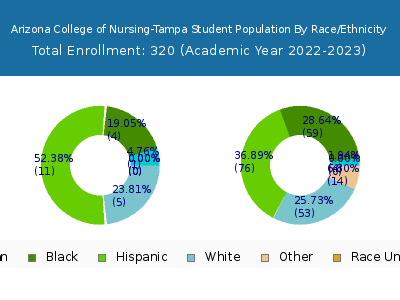 Arizona College of Nursing-Tampa 2023 Student Population by Gender and Race chart