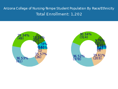 Arizona College of Nursing-Tempe 2025 Student Population by Gender and Race chart