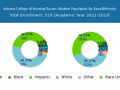 Arizona College of Nursing-Tucson 2023 Student Population by Gender and Race chart